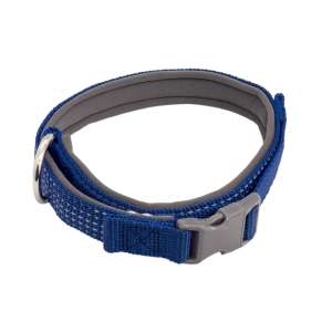 Ошейник нейлон Премиум светоотражающий неопреновый подклад 25мм 42-64см синий Каскад