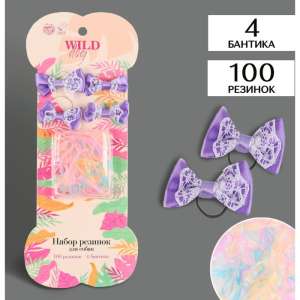 Набор резинок для собак Wild dog 100шт + 4 бантика Пижон
