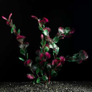Растение аквариумное искусственное 4*30см красно-зеленое Пижон