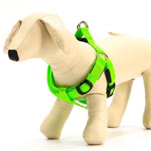 Шлейка 30-60см*2см светящаяся на батарейках XL 3 режима свечения зеленая Пижон