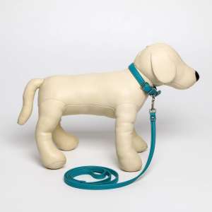 Комплект для собак Ошейник 26-34см*1,4см + Поводок 120см*1см из экокожи бирюзовый