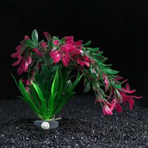 Растение аквариумное искусственное 11*11*22см Пижон