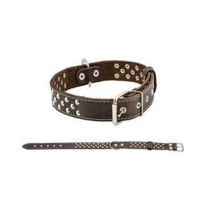 Ошейник кожаный клёпаный Дарэленд Стандарт 35мм*54-66см простроченный (натур.кожа) черный Дарэлл