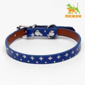 Ошейник для собак Метеорит 32*1см микс цветов Пижон 