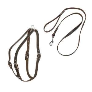 Комплект для собак Шлейка кожа 15мм средняя+поводок 15мм ZooMoDa