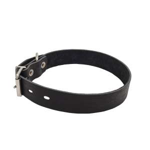 Ошейник кожаный с текстурой 25мм 39-46см Каскад