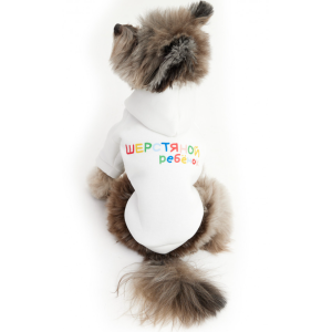 Толстовка с капюшоном LPK-0425 р.XL, спинка 34см LION 