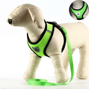 Комплект для собак Шлейка 26-44см + Поводок 120см зеленый Пижон