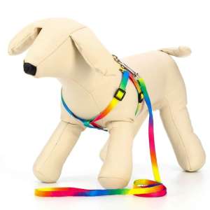 Комплект для собак Шлейка 24-34см*1см + Поводок 120см*1см Радуга Пижон