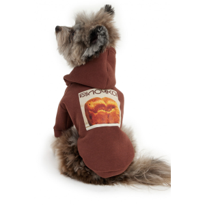 Толстовка с капюшоном LPK-0428 р.2XL, спинка 43см булочка LION 