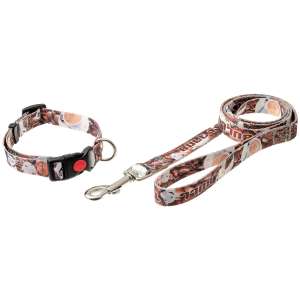 Комплект для собак Ошейник + Поводок 1,27м*20мм фикс замка принт Бультерьер нейлон Пет Лайн