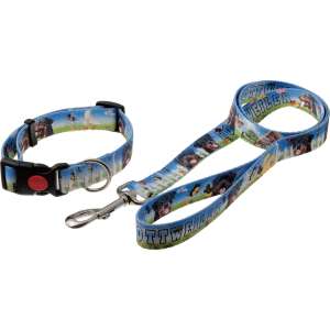 Комплект для собак Ошейник + Поводок 1,27м*25мм фикс замка принт Ротвейлер нейлон Пет Лайн