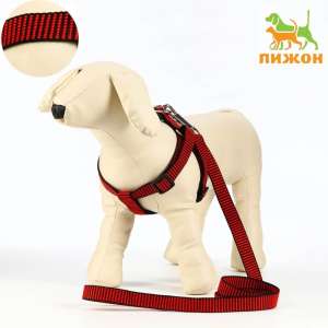 Комплект для собак Шлейка 44-50см + Поводок 120см красно-черный Пижон