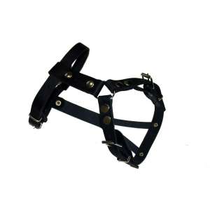 Шлейка К кожаная французский бульдог черная Аркон