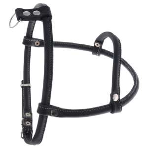 Шлейка кожаная чау-чау черный 70-85см Аркон