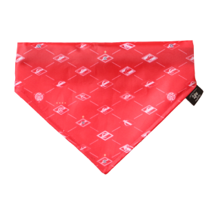 Ошейник для собак р3 42-74см нейлон с косынкой СПАРТАК SM-19 LION