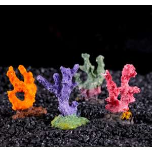 Коралл аквариумный Синулярия мини микс видов 6*3,5*8,5см Пижон