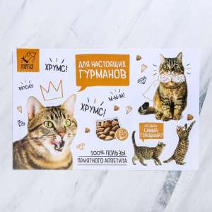 Коврик под миску "Для настоящих гурманов" 43*28см Пушистое счастье