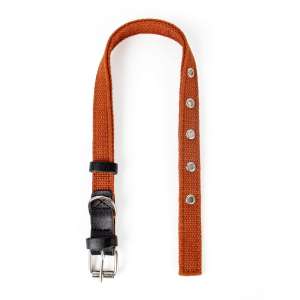 Ошейник брезент двойной 20мм/33-45см коричневый Зооник