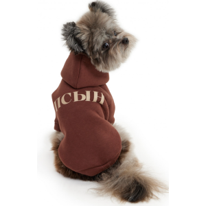 Толстовка с капюшоном LPK-0427 р.L, Псын спинка 29см LION 