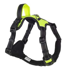 Шлейка нейлон Sport с ручкой рМ ОГ55-65см зеленая Каскад