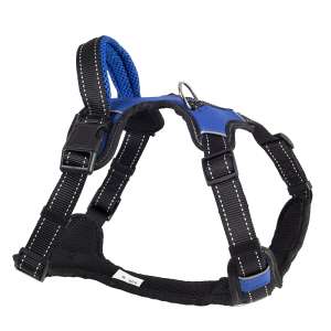 Шлейка нейлон Sport с ручкой рМ ОГ55-65см синяя Каскад