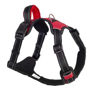 Шлейка нейлон Sport с ручкой рS ОГ42-50см красная Каскад