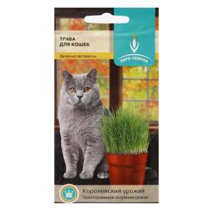Травка для кошек семена 10гр