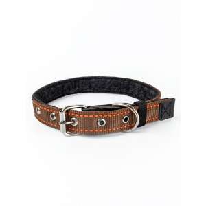 Ошейник капрон с подкладом украшен лентой 25мм/38-50см Зооник