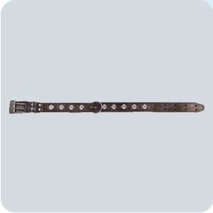 Ошейник кожа с подкладом украшен + кольцо  45мм/80см Зооник