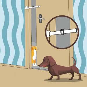 Контроллер доступа в помещение СТОПДОГ Антицарапки