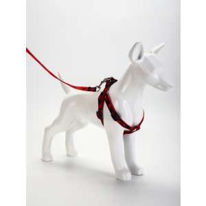 Комплект для собак Большая лапа шлейка 28-42см +поводок 120см*1,5см красно-черный Пижон