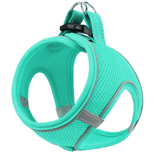 Шлейка-жилет для собак Favorite рXL ОШ 42-54см ОГ 54-60см анатомическая дышащая бирюзовая Уют