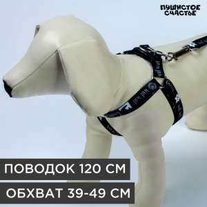 Комплект для собак Grrr...wof Шлейка 36-49см + Поводок 120см*1,5см