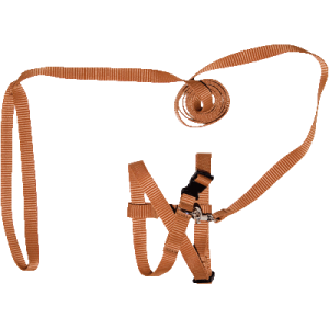 Комплект для кошек шлейка + поводок 1,5м*14мм фастекс стропа Зооник