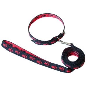 Комплект для собак ошейник + поводок 1,5м*15мм стропа с лапками (5шт) Зооник