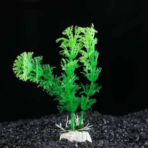 Растения аквариумное искусственное Амбулия зеленая 10см Пижон