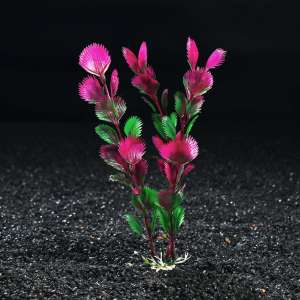 Растение аквариумное искусственное до 20см Пижон