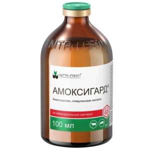 Амоксигард 100 мл Нита