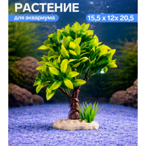 Растение аквариумное,15.5×12×20.5 см