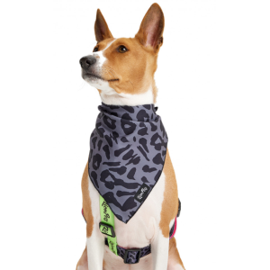 Косынка для животных с рисунком LPK-0808-14 р.M 60*35*44см LION