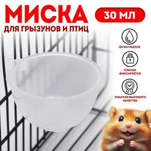 Миска пластиковая для грызунов 30 мл, прозрачная Пижон