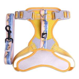 Комплект шлейка + поводок желтая рL обхват груди 52-78см, шея 50-64см LION для собак