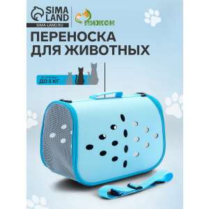 Сумка-переноска 43×20×29 см, материал EVA, голубая                              