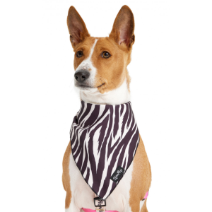 Косынка для животных с рисунком LPK-0808-12 р.M 60*35*44см LION