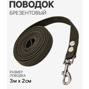 Поводок из полиэстера 3 м × 2 см, чёрный