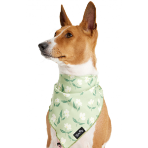 Косынка для животных с рисунком LPK-0808-10 р.M 60*35*44см LION