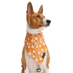 Косынка для животных с рисунком LPK-0808-8 р.L 70*42*55 см LION