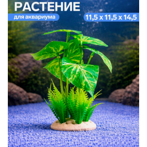 Растение аквариумное,11.5×11.5×14.5 см