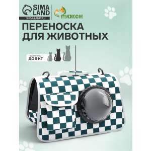 Сумка-переноска с органайзером и иллюминатором, белая, зелёная 43*24*28                             